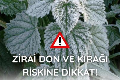 Seyitgazi dikkat, Zirai don uyarsı!!!