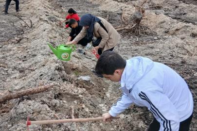 Geleceğe Nefes, Kardeşliğe Miras: Seyitgazi’de Bin Fidan Toprakla Buluştu