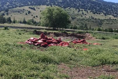 DOĞANÇAYIR’DA ÇEVRE İSYANI!