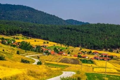 Seyitgazi İdrisyayla'da Büyük Buluşma: Bahar Şenliği İçin Geri Sayım Başladı!