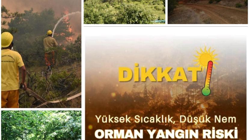 10 ŞEHİDİMİZİN AZİZ HATIRASINA SAYGIYLA: SEYİTGAZİ ORMANLARINA DA GİRİŞ YASAKLANIYOR!