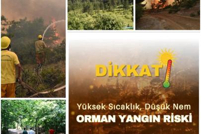 10 ŞEHİDİMİZİN AZİZ HATIRASINA SAYGIYLA: SEYİTGAZİ ORMANLARINA DA GİRİŞ YASAKLANIYOR!