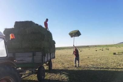 Hasat Başladı, Rakamlar Netleşti: Seyitgazi’de Balya Yükleme Ücretleri Belli Oldu