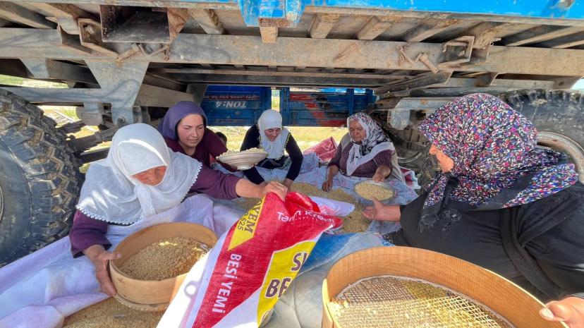 RÖMORK ALTI GÖLGESİNDE BİR ASIRLIK GELENEK: GÖCENOLUK KADINLARINDAN "TARHANA" MESAİSİ!