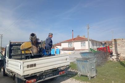 Seyitgazi'de Temizlik ve İlaçlama Çalışmaları!