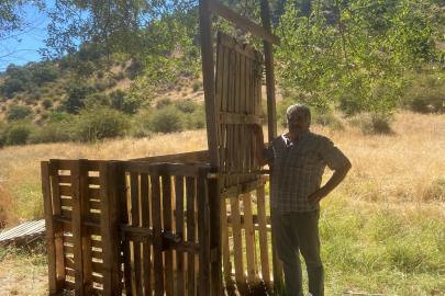 "Seyitgazi’de Firari Dana Operasyonu: İhsan Amca'dan Kaçış Yok!"