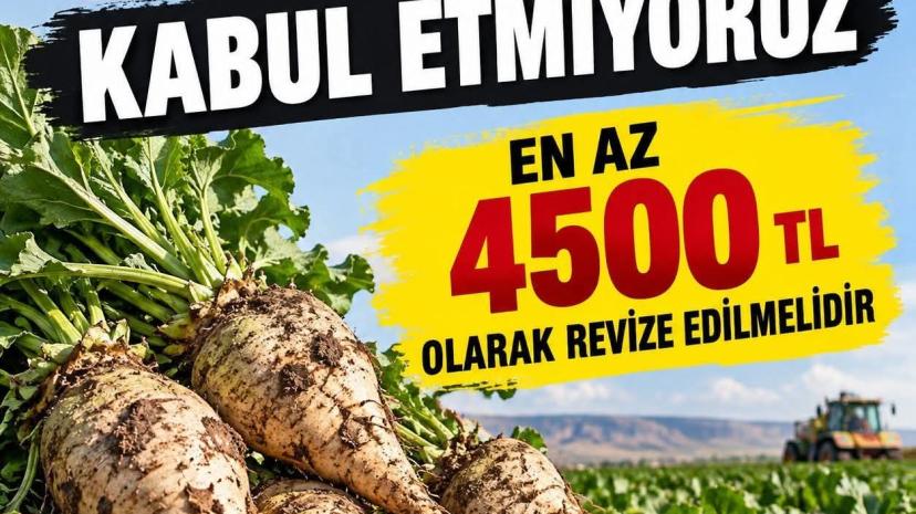 Seyitgazi’den TÜRKŞEKER’e Pancar İsyanı: "Maliyet %35, Zam %20! Çiftçi Nasıl Dayanacak?"