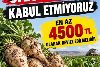 Seyitgazi’den TÜRKŞEKER’e Pancar İsyanı: "Maliyet %35, Zam %20! Çiftçi Nasıl Dayanacak?"